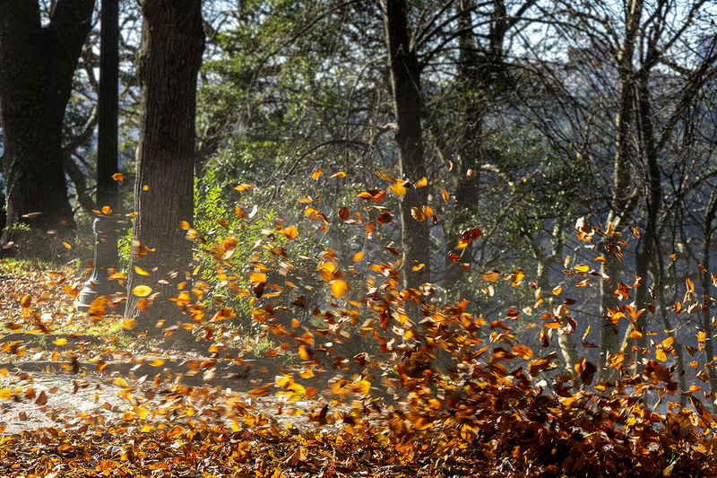 2025. FEBRERO. TEMA: 